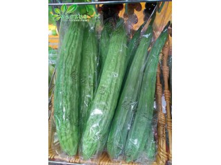 仿真絲瓜   廠家直銷  沈陽仿真植物生產廠家