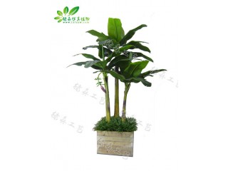 仿真三桿pu芭蕉  廠家直銷  沈陽仿真植物生產廠家