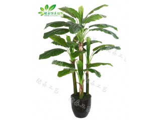 仿真四桿芭蕉  廠家直銷  沈陽仿真植物生產廠家