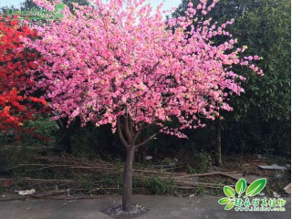 仿真桃花樹   廠家直銷   沈陽仿真植物生產(chǎn)廠家
