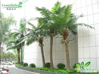 仿真椰子樹   廠家直銷   沈陽仿真植物生產(chǎn)廠家