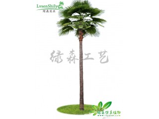 仿真棕櫚樹-老人葵   廠家直銷   沈陽仿真植物生產廠家