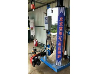 立式燃油（氣）常壓鍋爐 燃油燃?xì)鉄崴仩t 燃油燃?xì)庹羝仩t