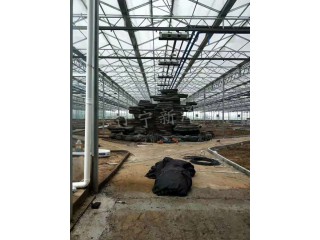 玻璃溫室大棚  沈陽溫室大棚廠家