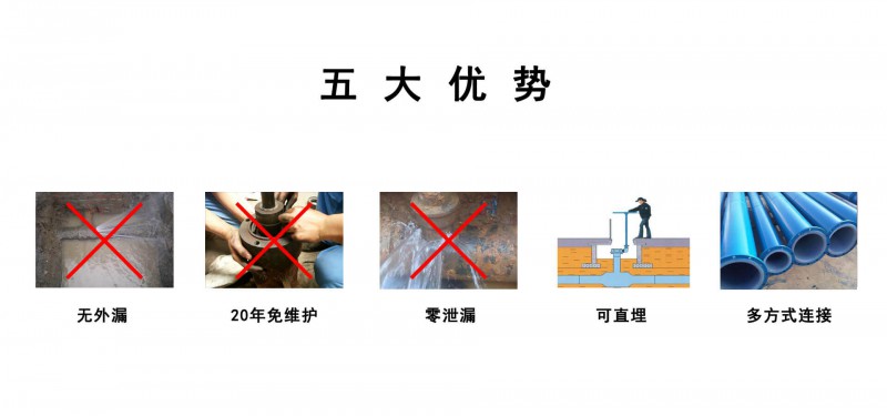 五大優勢