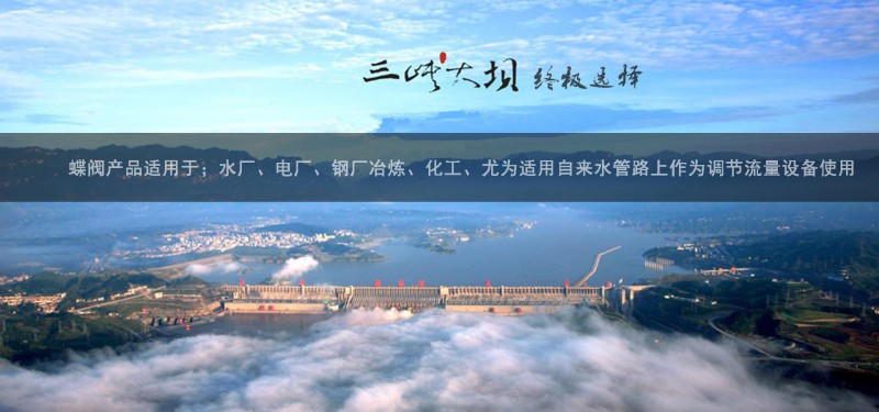 電動焊接蝶閥03