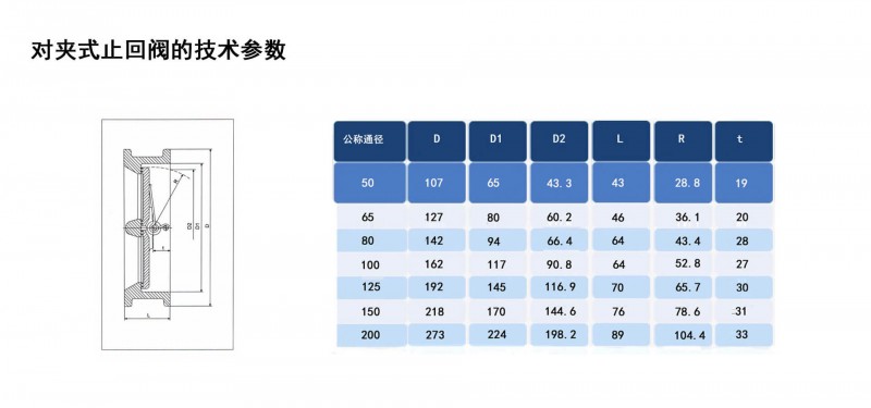 對夾止回閥10