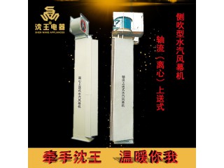 廠家直銷 軸流上送式側吹型水汽風幕機 可定制多規格電熱風幕機