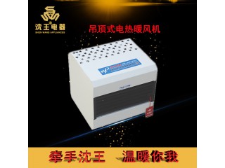 廠家直銷 吊頂式電熱暖風機 可定制多規格電熱風幕機