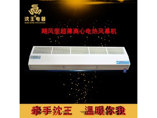 廠家直銷 颶風型超薄離心電熱風幕機 可定制多規格電熱風幕機批發