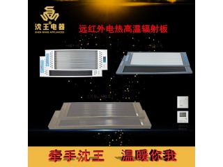 廠家直銷(xiāo) 遠(yuǎn)紅外電熱高溫輻射板 可定制多規(guī)格電熱風(fēng)幕機(jī)批發(fā)