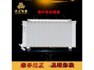 廠家直銷(xiāo) 碳纖維電暖器 可定制多規(guī)格電熱風(fēng)幕機(jī)批發(fā)