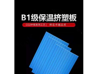 B1擠塑板 擠塑板生產廠家 沈陽擠塑板廠家