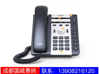 入門級(jí)IP電話機(jī)