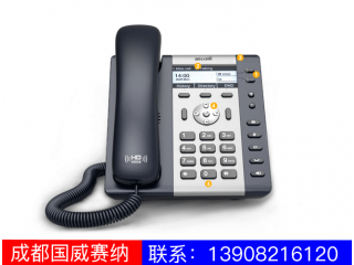 入門級(jí)IP電話機(jī)