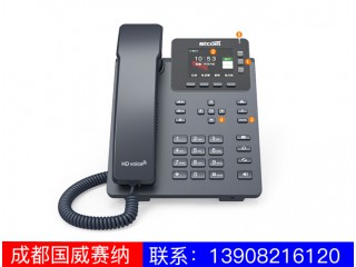 入門級(jí)IP電話機(jī)