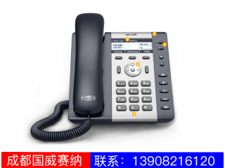 入門級(jí)IP電話機(jī)-A10A11
