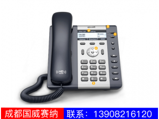 入門級(jí)IP電話機(jī)-A21