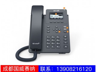 入門級(jí)IP電話機(jī)-D20D21