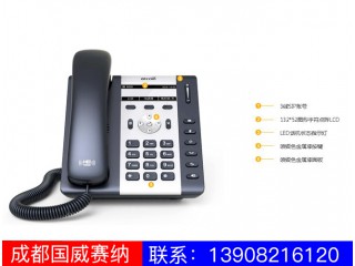 入門級(jí)IP電話機(jī)-A16