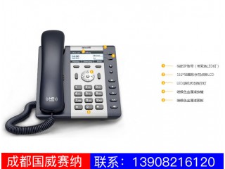 入門級(jí)IP電話機(jī)-A26