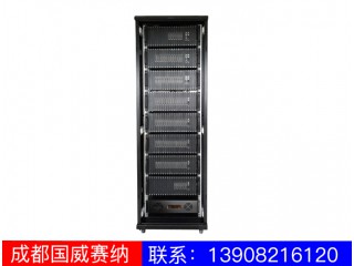 WS868-X