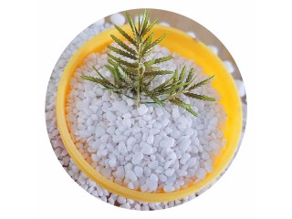 廠家直銷雪花白石米 石米價格  石米廠家 水洗雪花白 精品白石米 天然鵝卵石