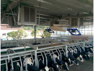 工業冷風機