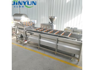 蔬菜清洗流機，金運機械廠家直銷