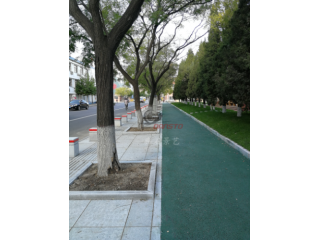 透水混凝土原材料生產及施工工藝 透水地坪 生產施工一體  彩色透水混凝土