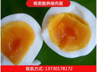 稚美禽業散養綠殼蛋