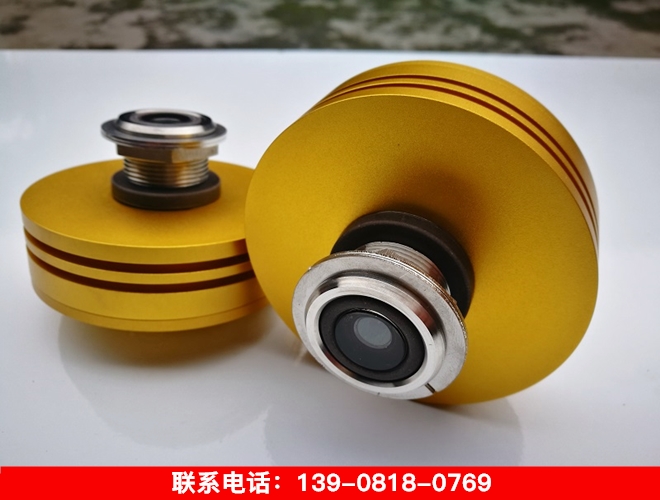 進口繼電器探頭WORP2 (2)