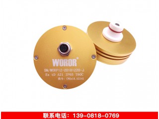 沃瑞爾 WOROR 進口繼電器探頭WORP2