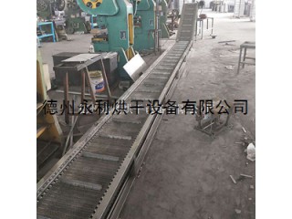 水槽提升輸送機 不銹鋼鏈板提升機