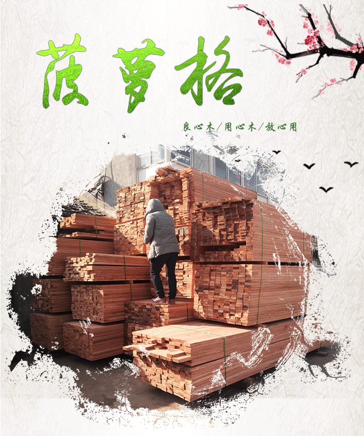 菠蘿格_01