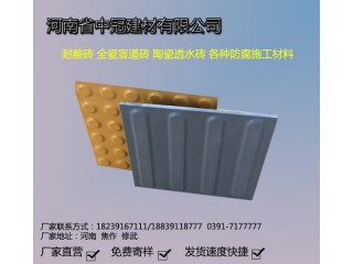 河北全瓷盲道磚 河北邢臺(tái)無(wú)規(guī)則盲道磚L