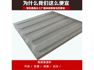 陜西盲道磚廠家_陶瓷盲道磚的抗化學(xué)腐蝕項(xiàng)目