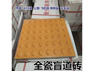 盲道磚廠家 具體全瓷盲道磚參數檢測咨詢湖北眾光L
