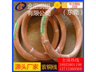 高品質(zhì)t2紫銅線/t5耐腐蝕紫銅線，t6無磁紫銅線