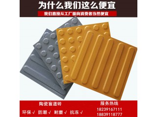 山東300盲道磚廠家現(xiàn)貨供應站臺盲道磚