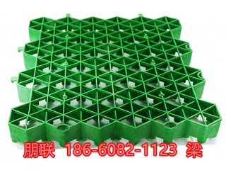 濱州植草格本地生產廠家
