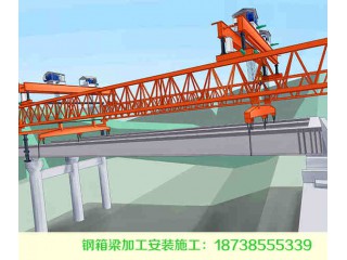 海南海口鋼結(jié)構(gòu)橋梁加工10年鋼結(jié)構(gòu)施工經(jīng)驗