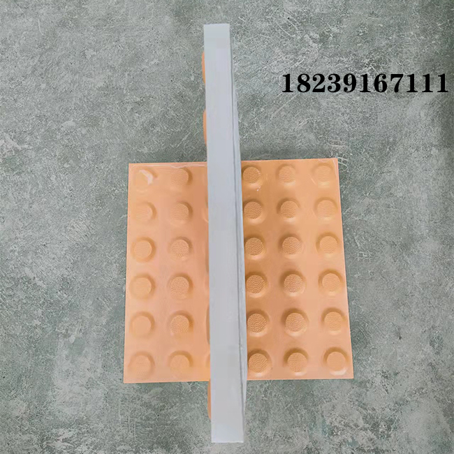 _14011832065488
