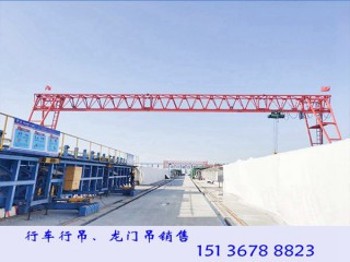 云南文山門式起重機廠家20/5噸龍門吊產品型號全