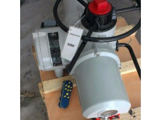 IQ25F14 羅托克電動執行器
