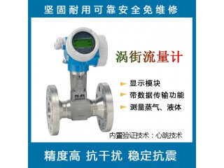 E+H F 200 渦輪蒸汽液體流量計 渦街質量流量計數顯高精度傳感器