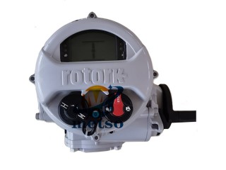 Rotork原裝羅托克執行機構 IQT角行程電動執行機構