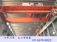 四川巴中橋式起重機(jī)廠家冶金吊品種多