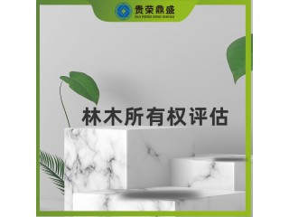 山西省太原市無形資產評估林木所有權評估今日推薦