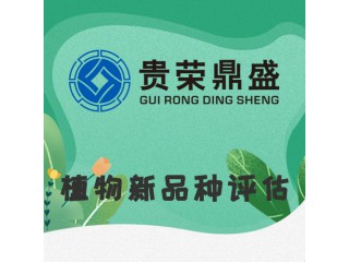 山東省東營市資產評估機構植物新品種評估今日新訊